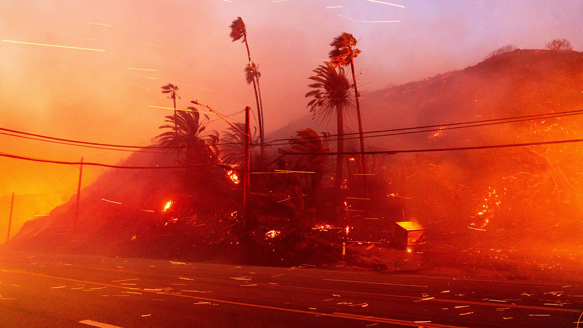Incendios en Los Ángeles: Causas y consecuencias de los devastadores incendios forestales