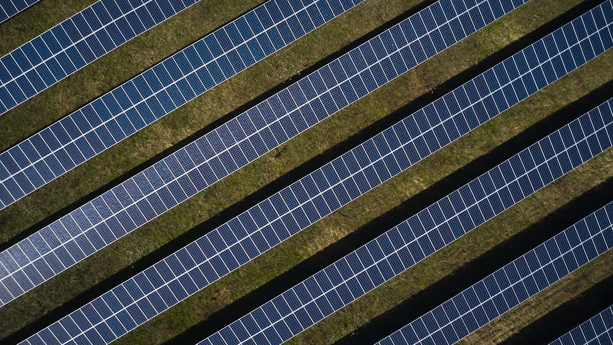 Inversión Sostenible en Riesgo: La Falta de Incentivos Financieros Amenaza el Futuro de la ESG
