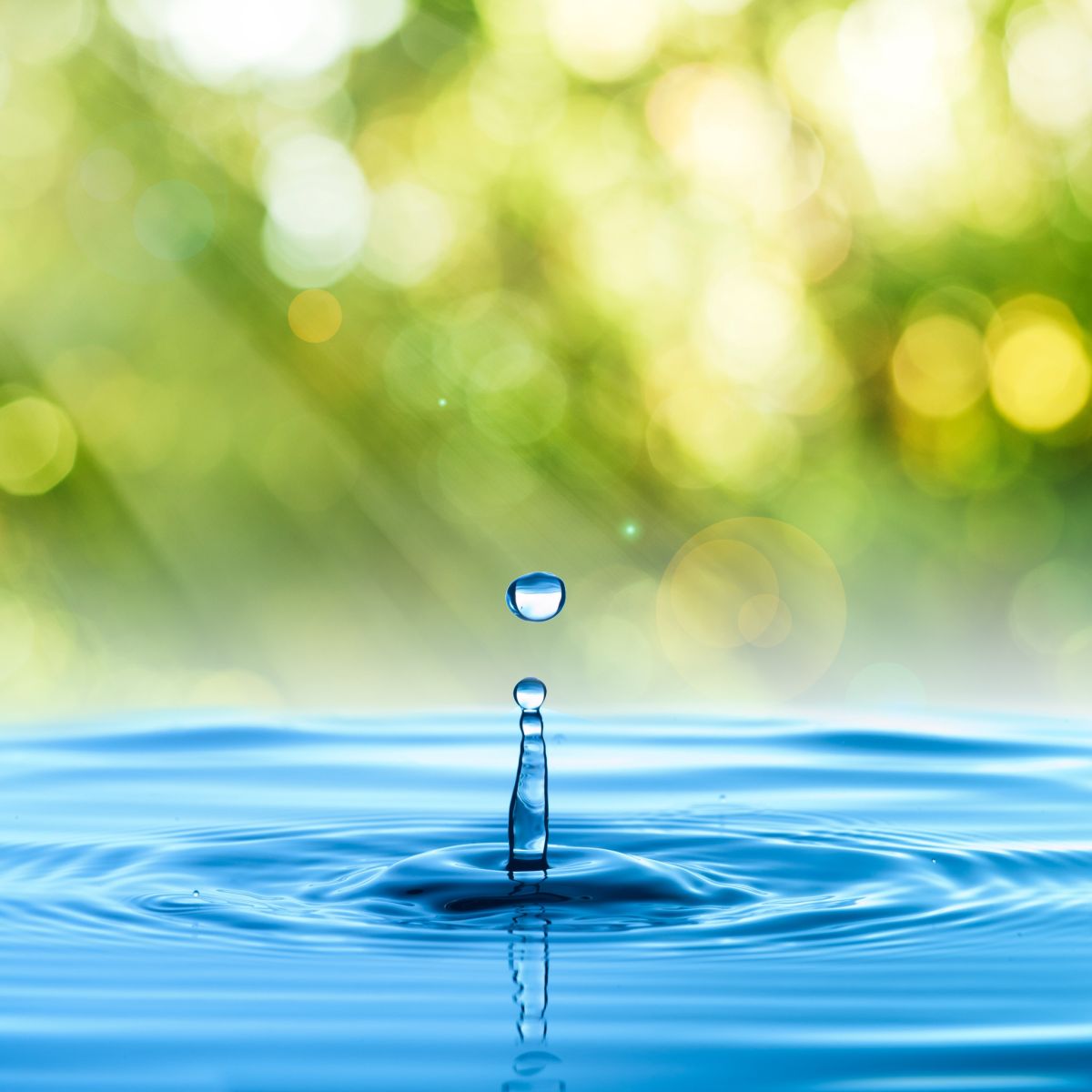 España conmemora el Día Mundial del Agua: un llamado a la acción para una gestión hídrica sostenible