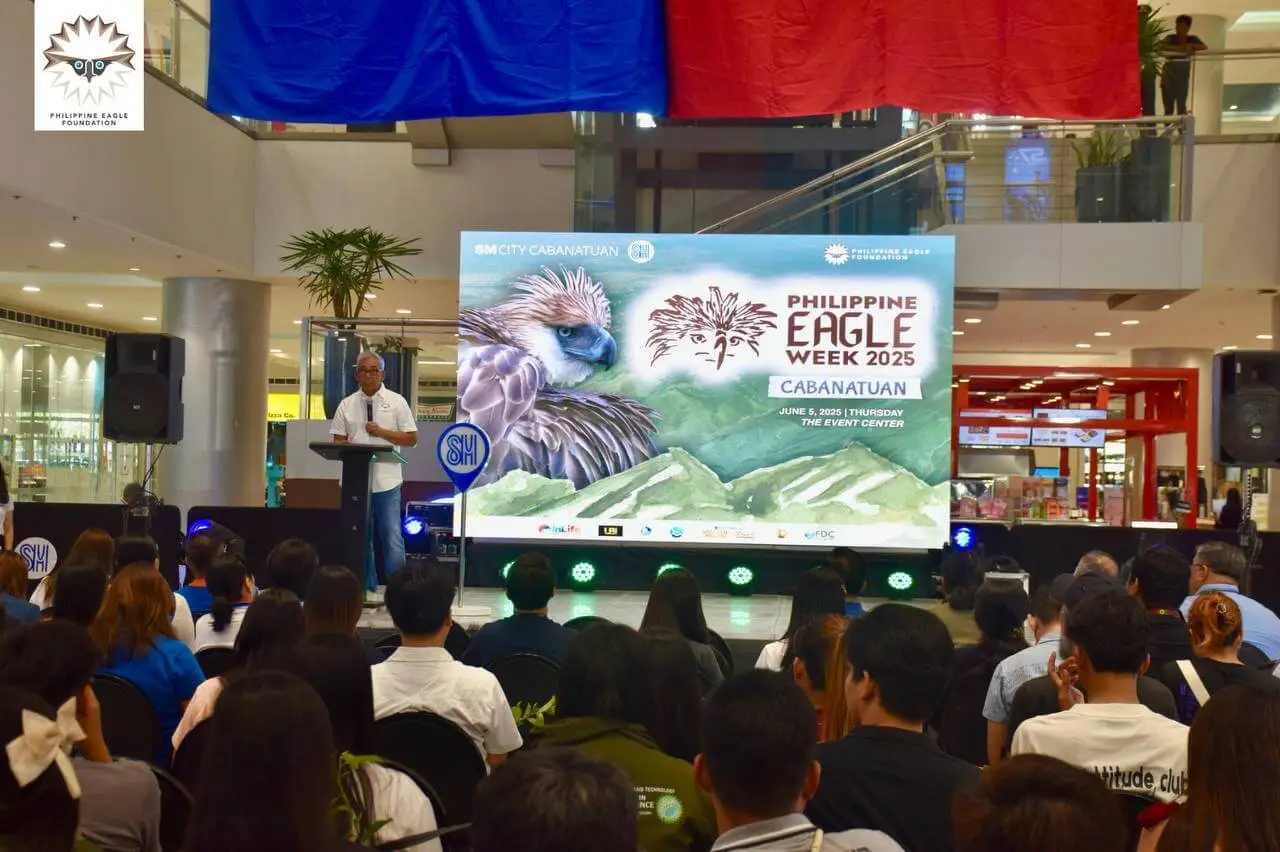 How Communities Across Luzon and Mindanao Help Save the Philippine Eagle