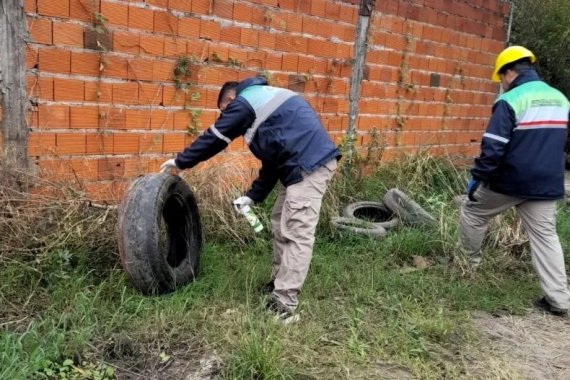 Prevención de Dengue: Salud llama a intensificar esfuerzos ante el aumento del turismo