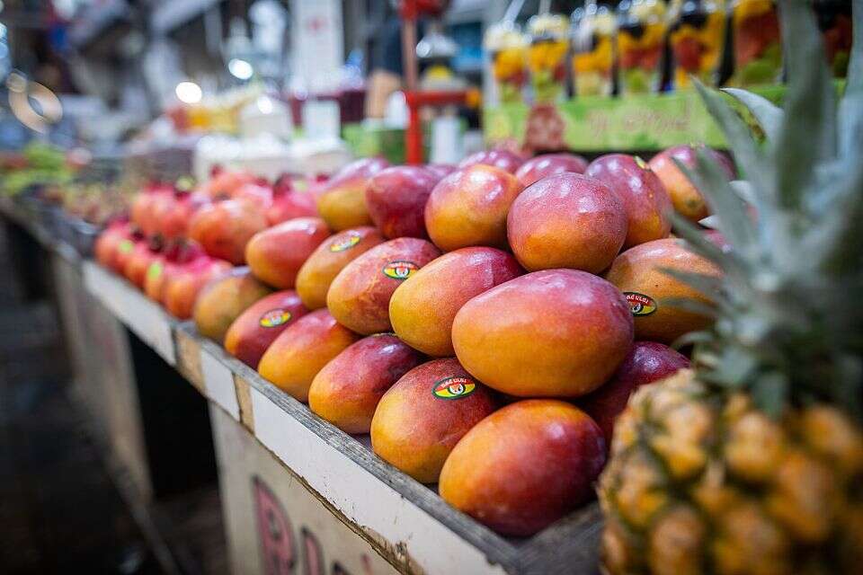 מנגו: הפרי הטרופי שיכול להוריד כולסטרול ולחץ דם בנשים מעל גיל 50 - מחקר חדש!