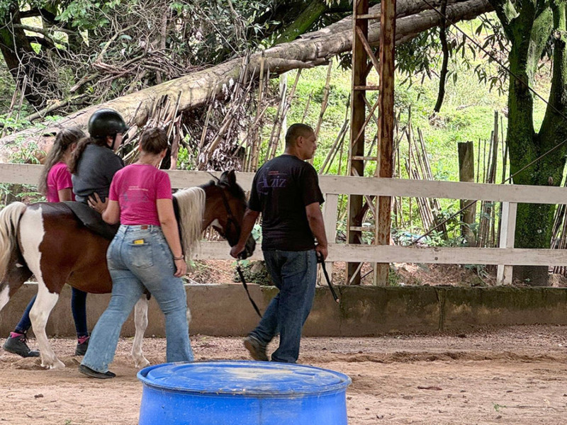 Equoterapia: Uma Alternativa Inovadora para Tratamentos de Saúde
