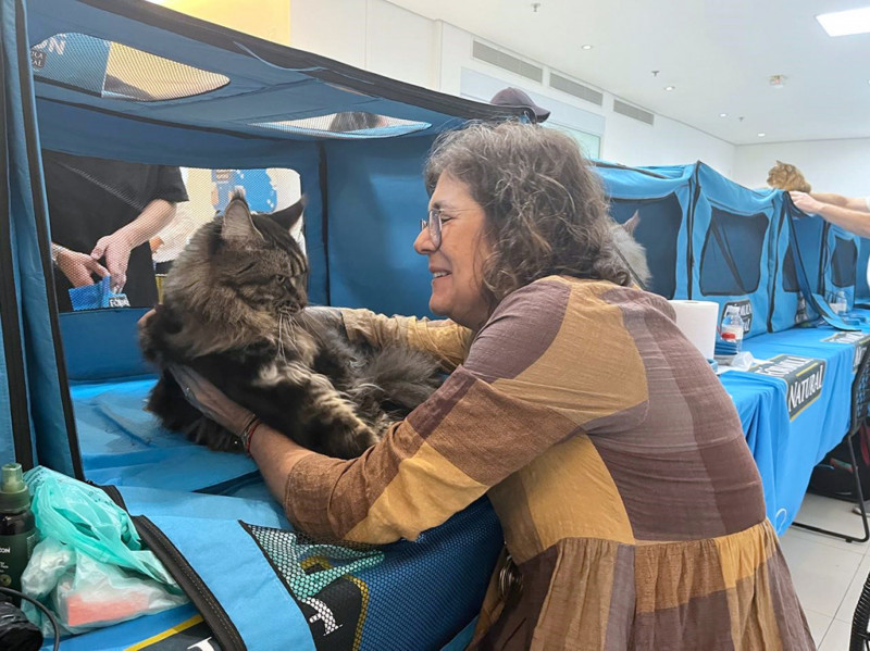 Gatos Exóticos: Criadores Compartilham Experiências e Conhecimentos