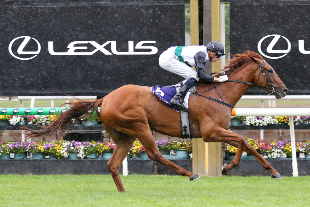 Rise At Dawn Secures All-Star Mile Berth with Impressive Win at Flemington