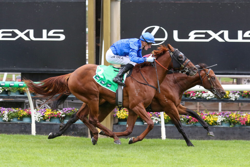 Blue Diamond runner-up Tentyris headed to Todman Stakes