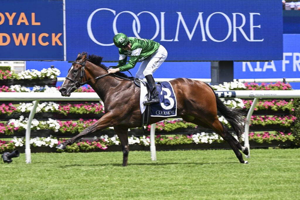 Shaggy's Golden Slipper Hopes Soar After Thrilling Pierro Plate Win