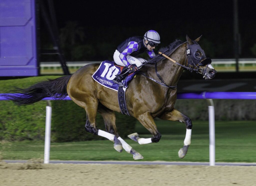 Saudi Cup Showdown: Walk Of Stars Challenges Romantic Warrior
