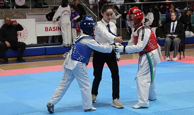 23 Nisan TBMM Kupası Taekwondo Müsabakaları Düzce'de Gerçekleştirildi