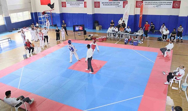 Elazığ'da Taekwondo Yetenekleri Parladı: Anadolu Yıldızlar Ligi Seçmeleri Coşkuyla Tamamlandı!