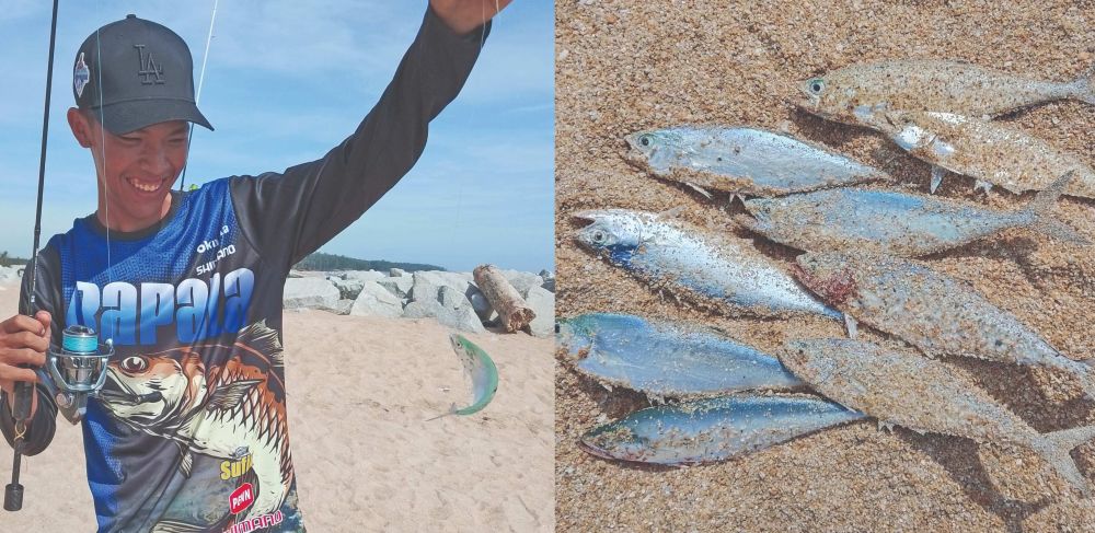 'Aduweh', ikan hiburan pemancing baharu