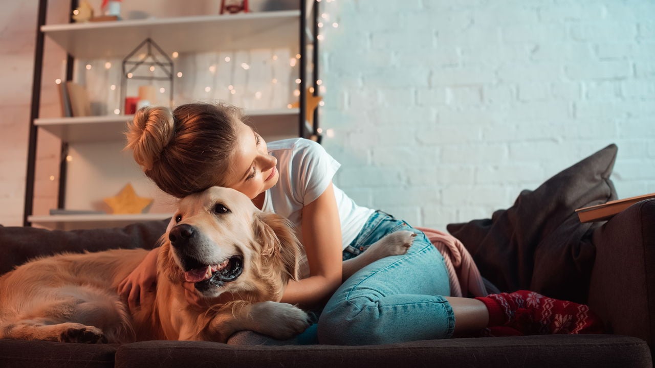A tecnologia que pode finalmente traduzir o que os animais sentem
