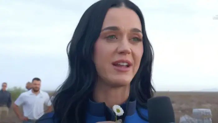 Katy Perry: "Internet è una discarica per squilibrati"