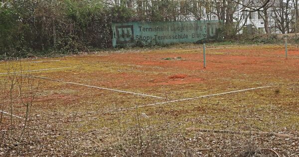 Hoffnungsschimmer für Hundebesitzer: Lösung für Oßweiler Hundewiese in Sicht