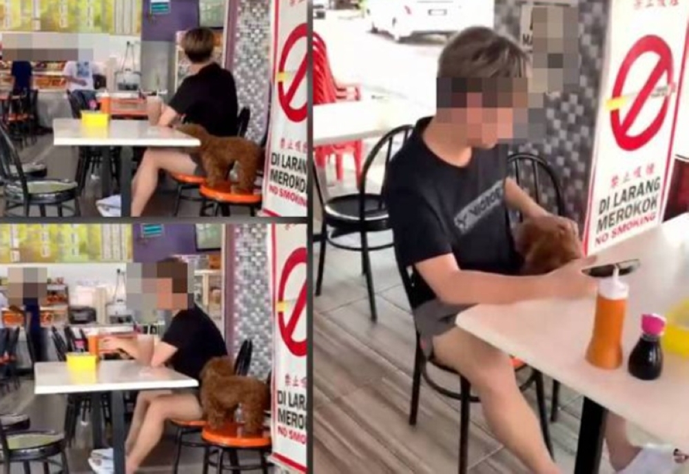 Viral Video: Segamat Nasi Kandar Restaurant Incident - Police Hunt Man with Pet Dog & Discarded Chair