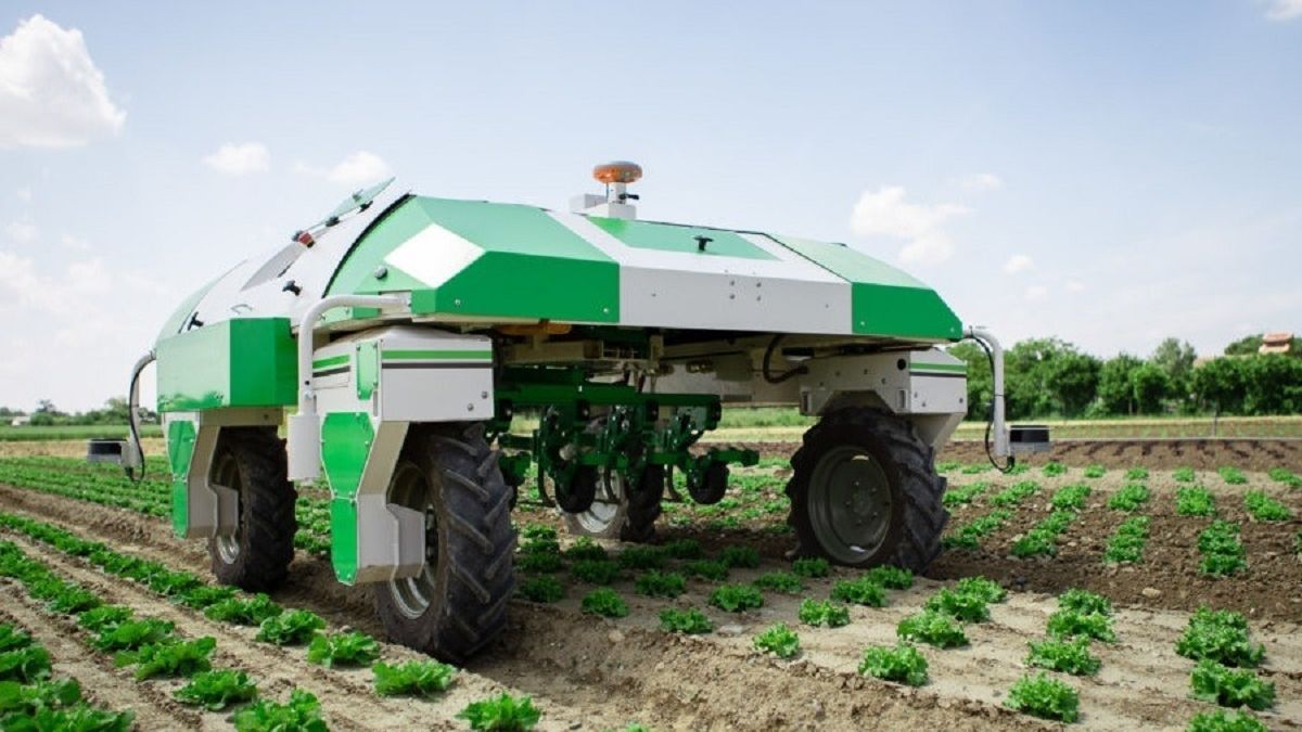 Revolutionizando la vitivinicultura en Mendoza: Innovaciones tecnológicas que impulsan la producción de vino
