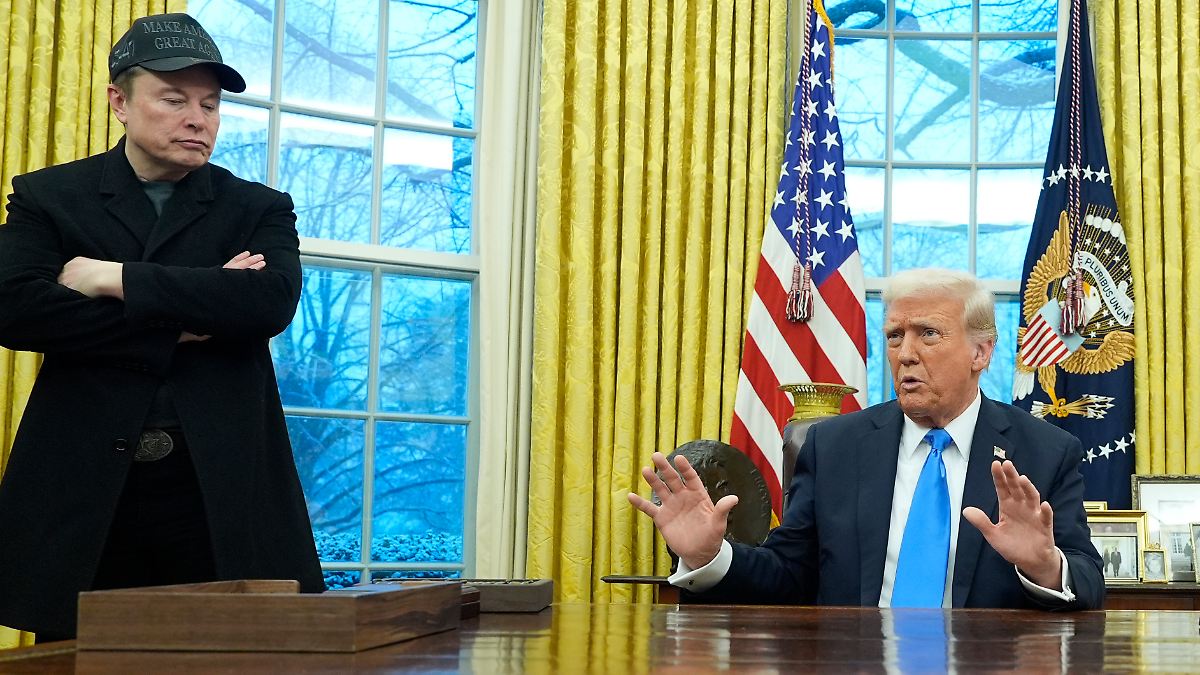 Elon Musk im Weißen Haus: Kein Chef der Abteilung, aber Berater