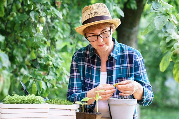 Entschleunigung in der Lausitz: Ein Slow-Living-Lebensstil zwischen Natur und Moderne