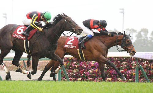 【日刊スポーツの注目レース】ホウオウビスケッツが大阪杯を制す?