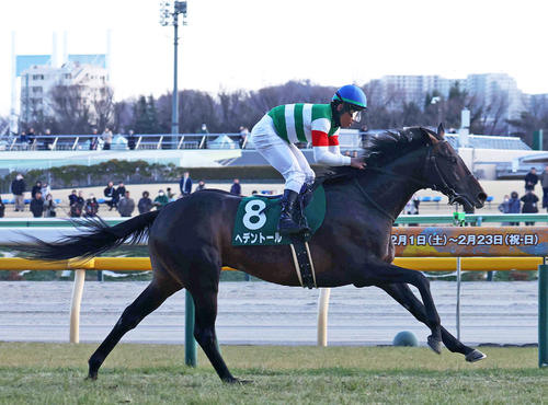 【日刊スポーツの注目馬】ヘデントールが天皇賞・春で優勝を狙う!