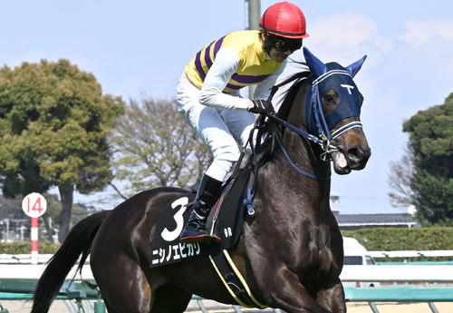 【土曜競馬必見】日刊スポーツDB班が厳選！週末に買いたい注目の3頭