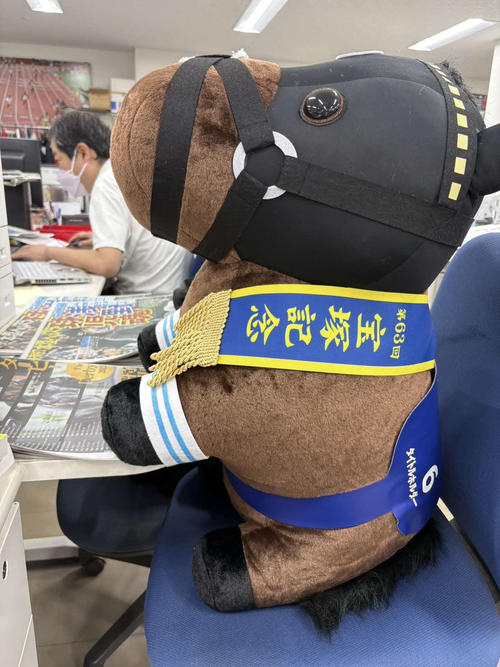 【感動の瞬間を独占！】日刊スポーツ記者席から飛び出す、競馬レースの裏側！巨大スクリーンと社員たちの興奮