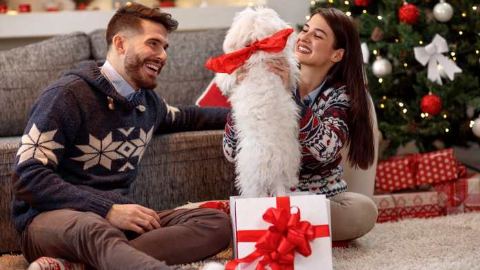 Il Maglione di Natale: Origini e Significato di una Tradizione Festiva
