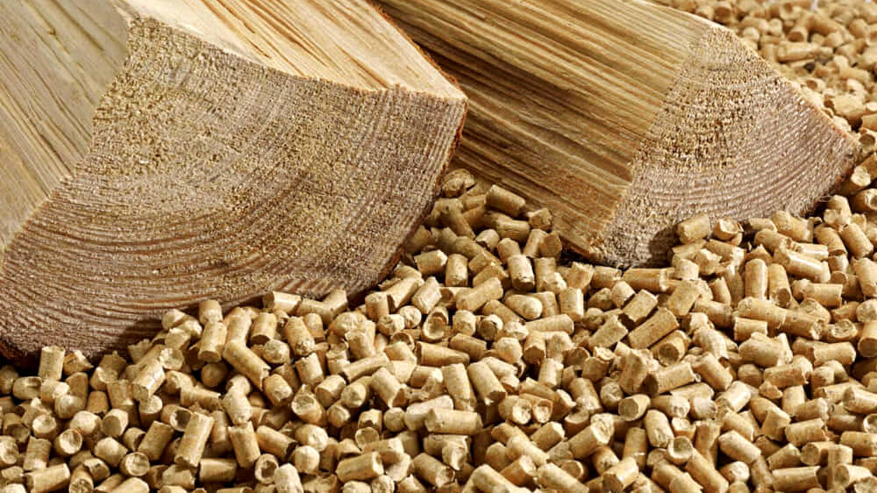 Scandalo Pellet: 10 Indagati Rinviati a Giudizio