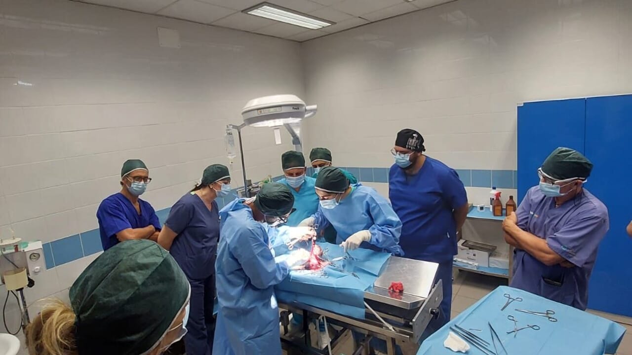 Corso di chirurgia veterinaria, Comune e Asp a braccetto per migliorare la salute degli animali