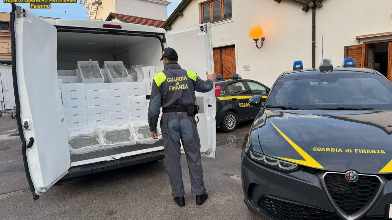 Sequestro di 2 tonnellate di 'neonata': la Guardia di Finanza colpisce con una multa da 75.000 euro