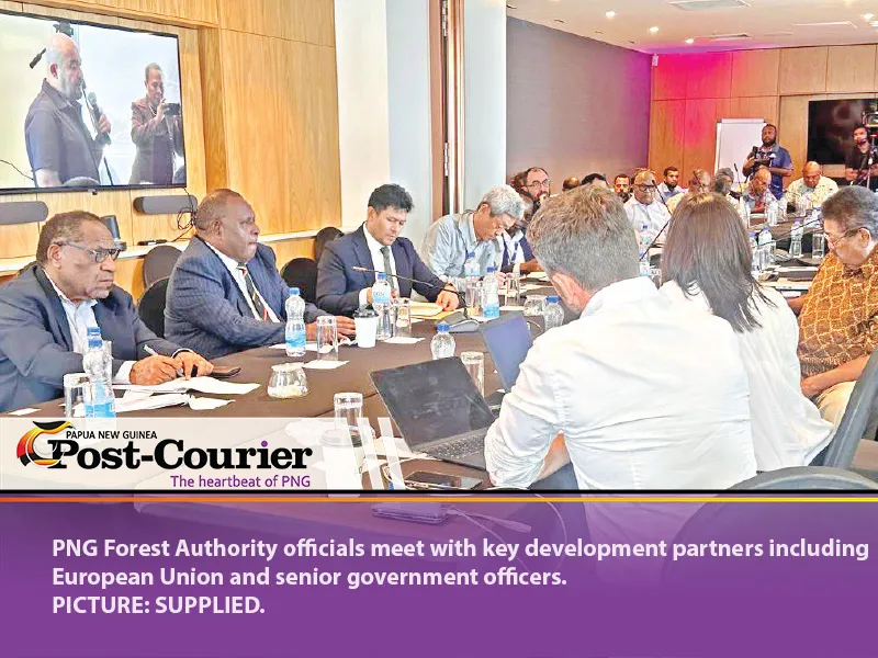 Authority welcomes Forest Finance bid