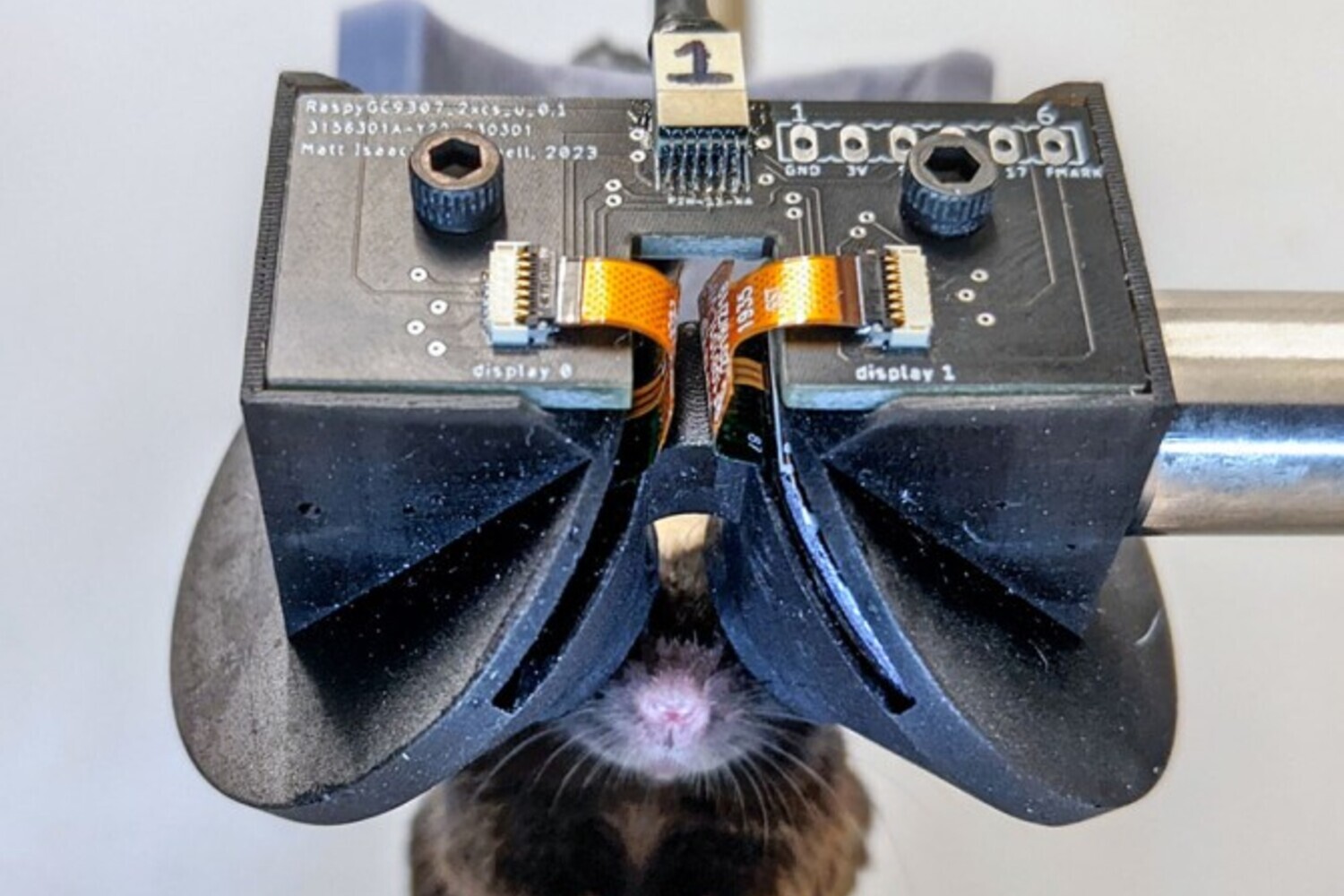 Découvrez le casque de réalité virtuelle pour souris créé par des chercheurs de l'université Cornell