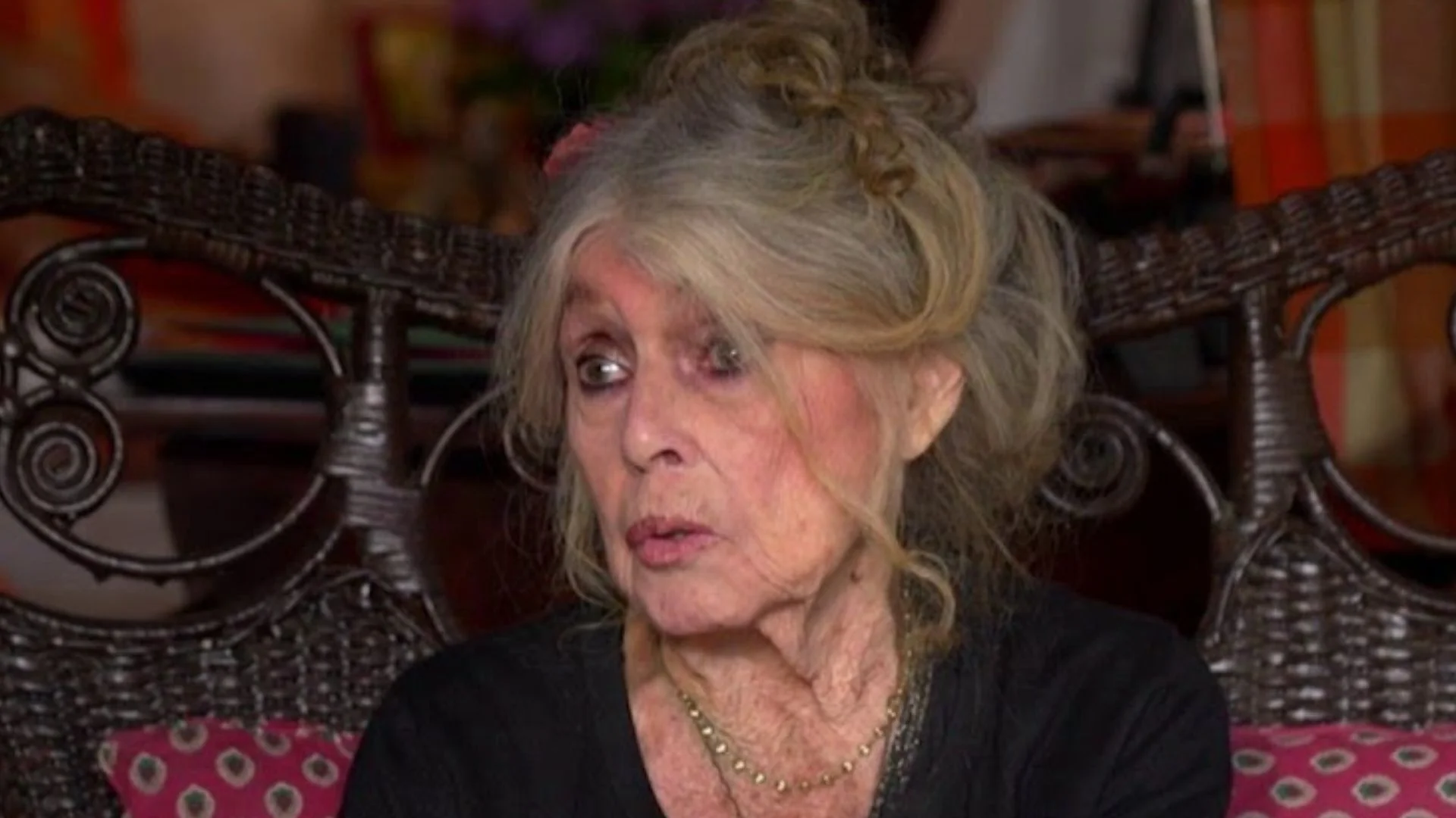 Brigitte Bardot rompe il silenzio: bordate contro Macron, Fetival di cannes e femminismo