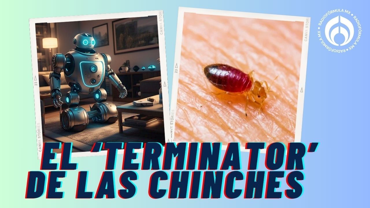 ¡Adiós, Chinches! La Estrategia Inteligente para Eliminar Estas Plagas de Tu Hogar (Recomendada por la IA)