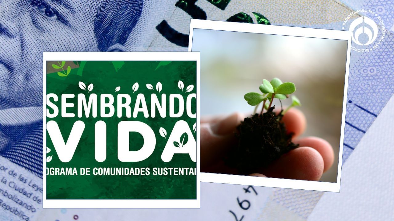 ¡Oportunidad en CDMX! Programa Sembrando Vida Ofrece $7,000 Mensuales: Requisitos y Cómo Inscribirte