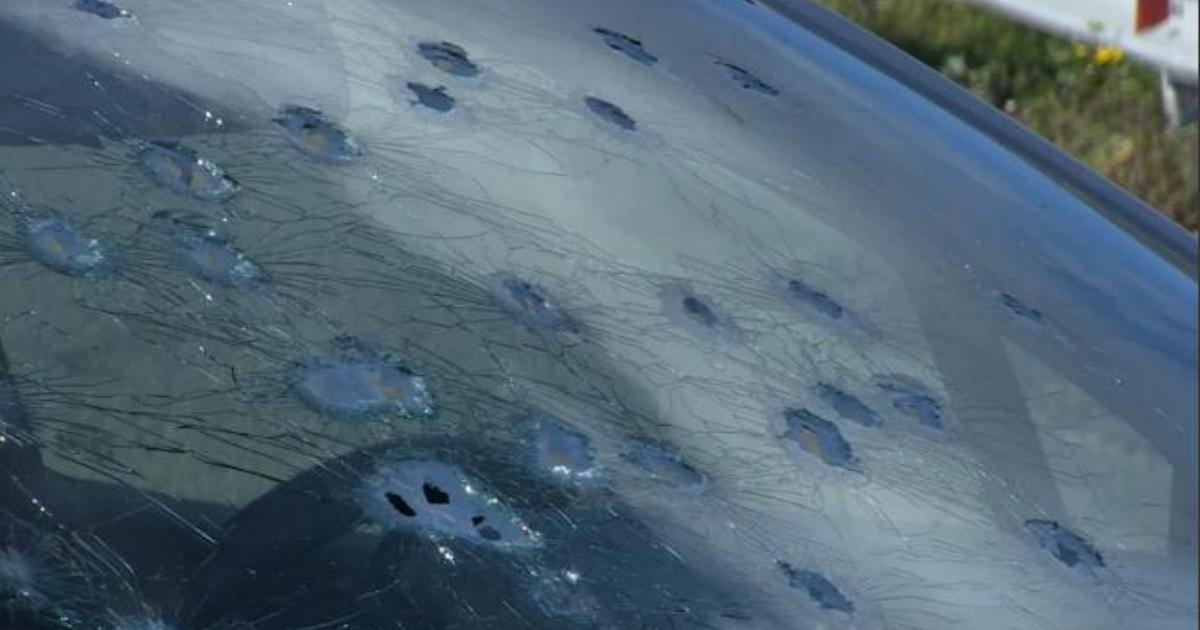 Tentato Omicidio in Gallura: 83enne Ferito a Fucilate Mentre Guidava