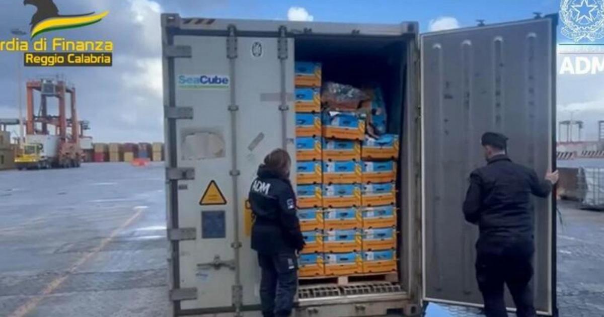 Cocaina purissima sequestrata al porto di Gioia Tauro: 788 chili di droga nascosta in modo ingegnoso