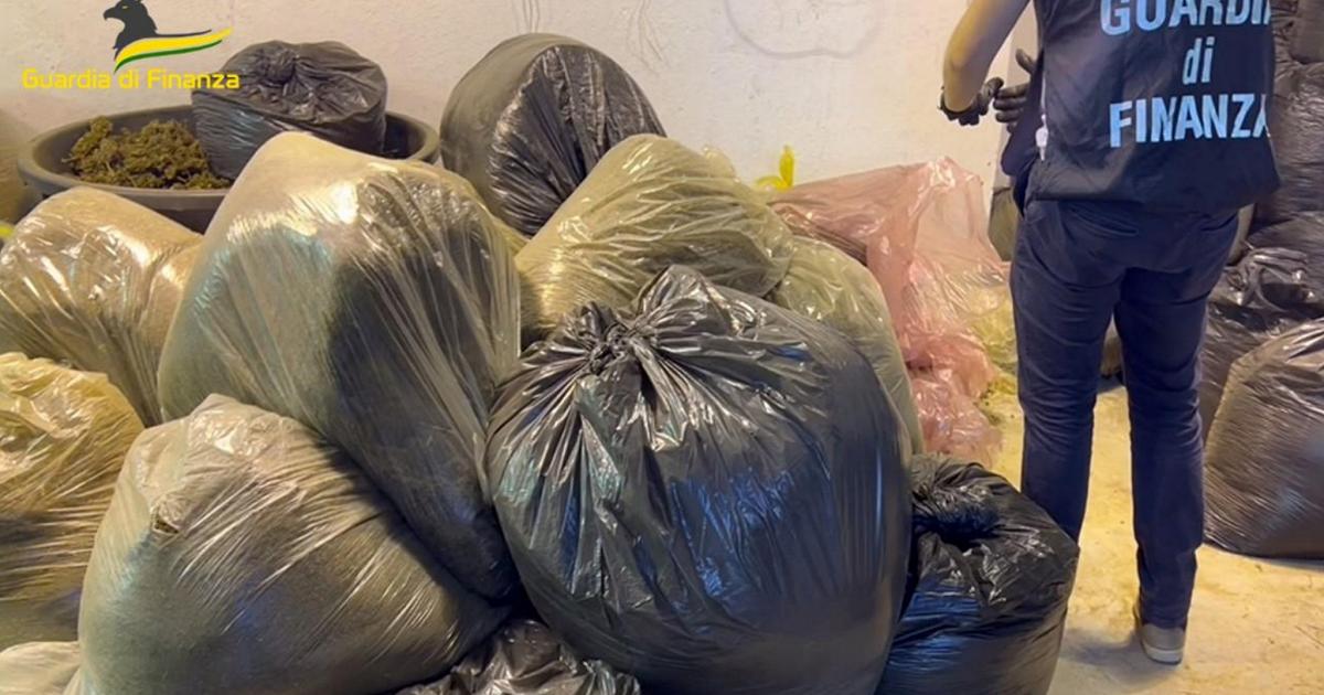 Sequestro di Droga a Savona: 3 Tonnellate di Hashish e Marijuana Confiscate dalla Guardia di Finanza