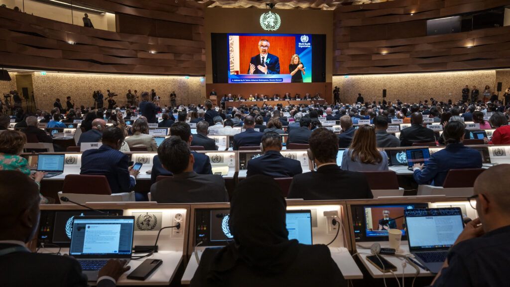 WHO in Transition: Navigating a Future Without US Funding - Challenges and Opportunities