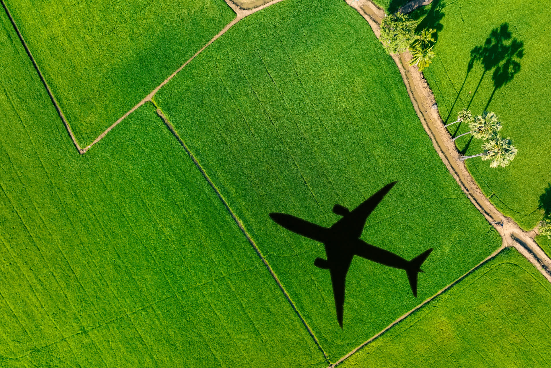 Canadian Skies Could Soon Run on Sunshine: Caltech Scientists Pioneer Solar Jet Fuel Production
