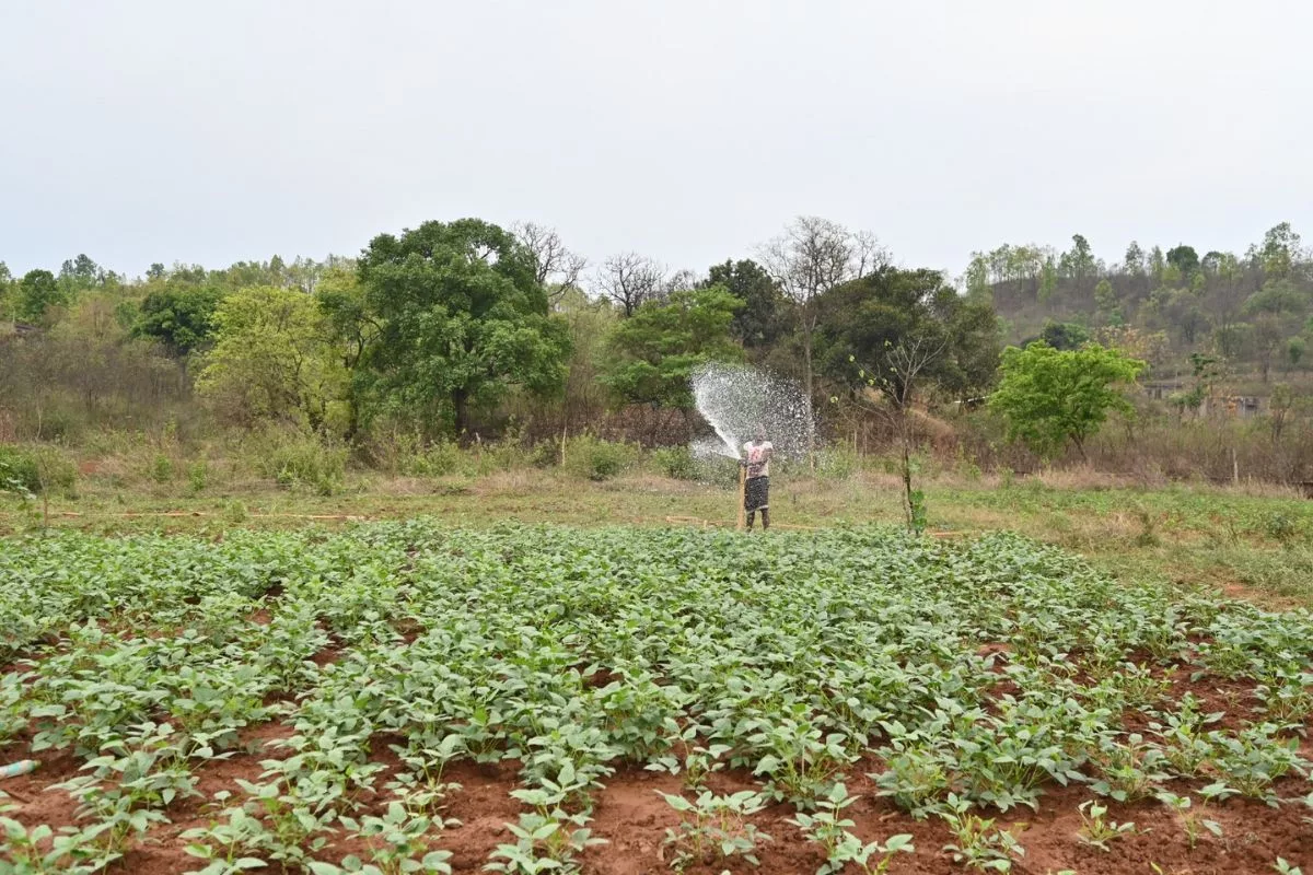 Revolutionizing Farming in Odisha: Integrated Watershed Management Project Brings Hope