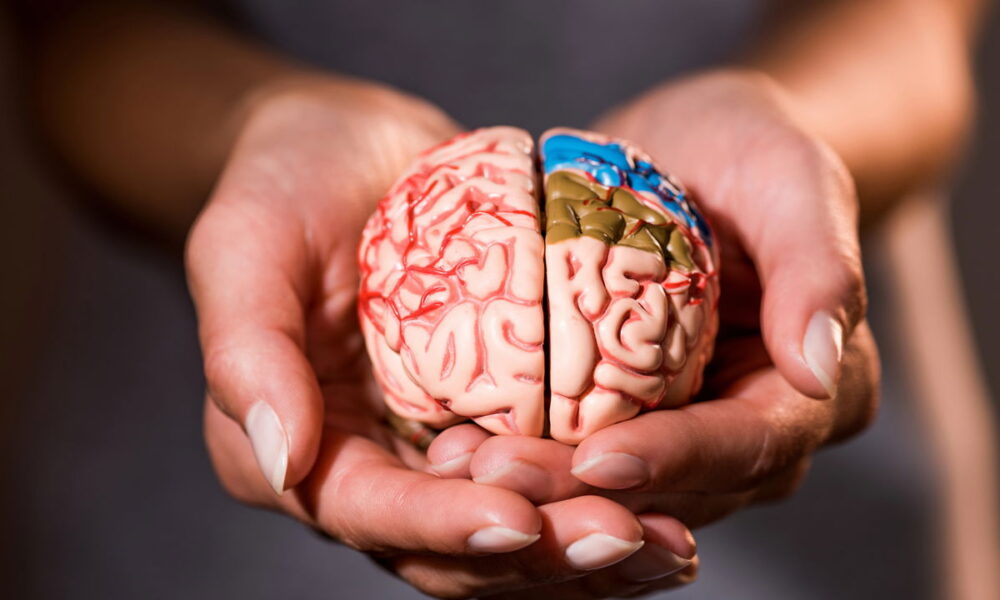 Conexões Saudáveis: Como o Estilo de Vida Afeta a Saúde Cerebral