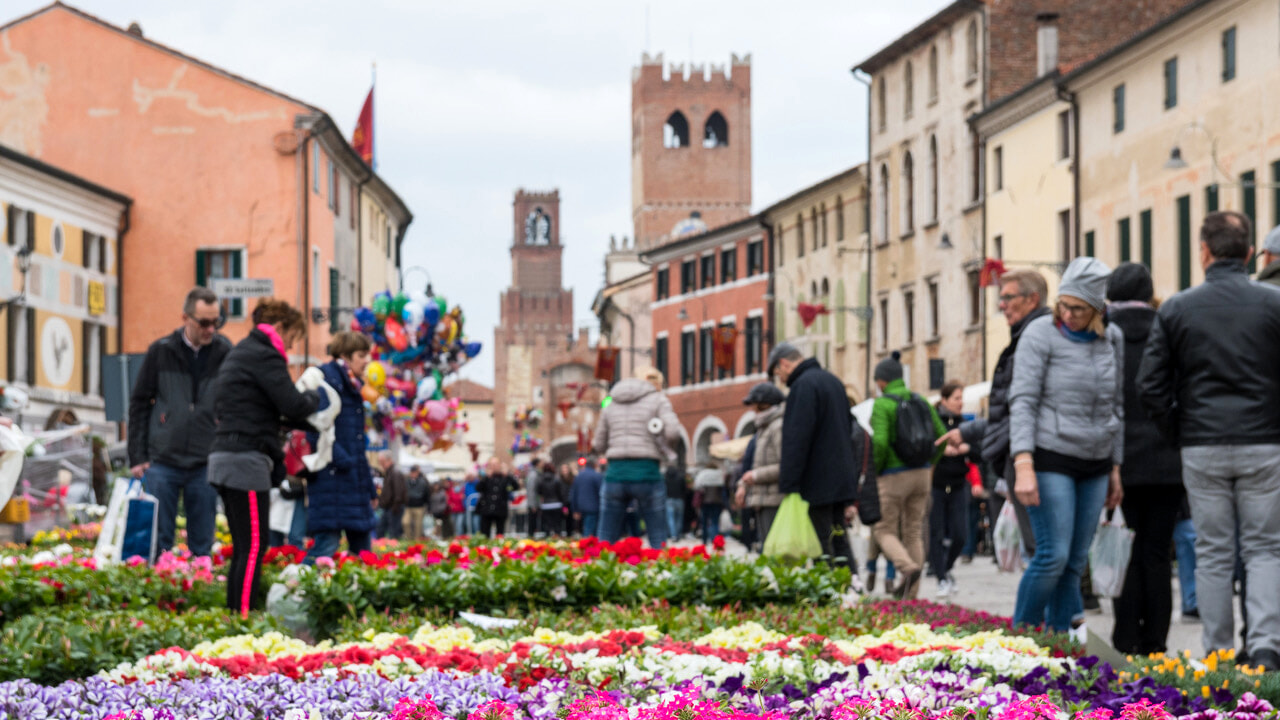 Noale in Fiore 2024: 190 Espositori, Mercatino e Intrattenimento per una Domenica di Primavera