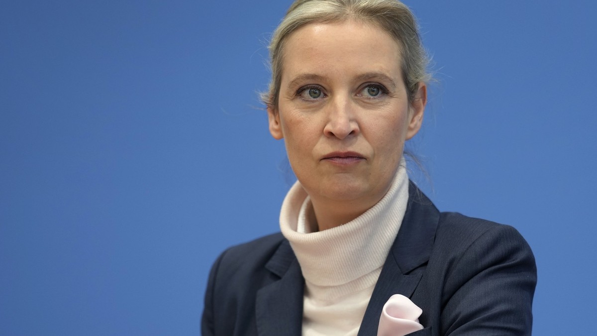 AfD-Chefin Alice Weidel flirtet mit Realitystar - So reagiert er