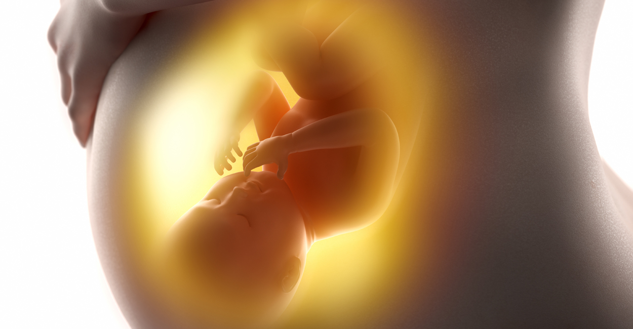 Das Erbe der Fettleibigkeit: Wie die Gesundheit der Mutter die Zukunft ihrer Kinder beeinflusst