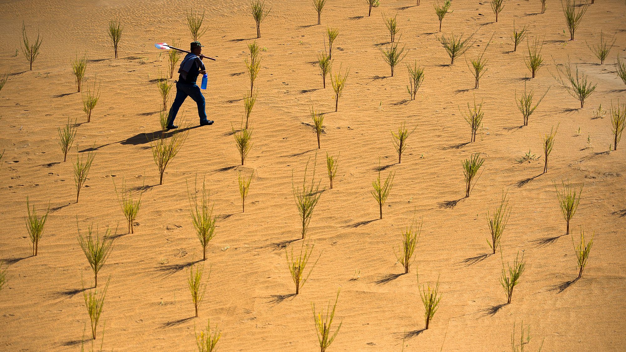 Harnessing Technology for a Greener Future: The Power of Sustainable Innovation