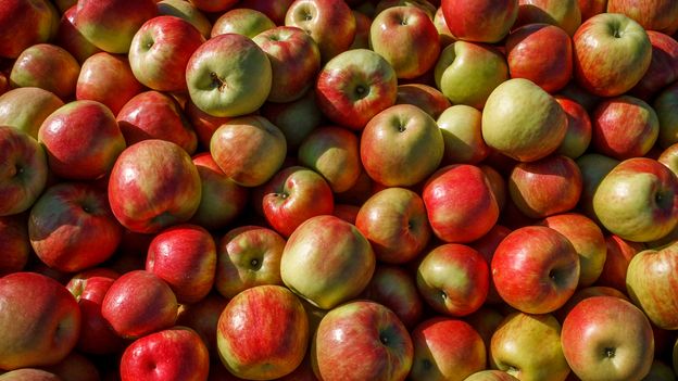 The Truth About Apples: Do They Really Keep the Doctor Away?