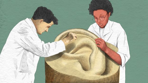 Unlocking the Secrets of Earwax: A Surprising Indicator of Overall Health